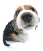 3232110.gif