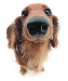 3232176.gif