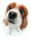 3232184.gif